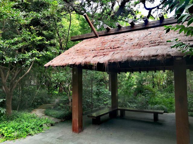 蟬鳴夏日長——復興島之白廬