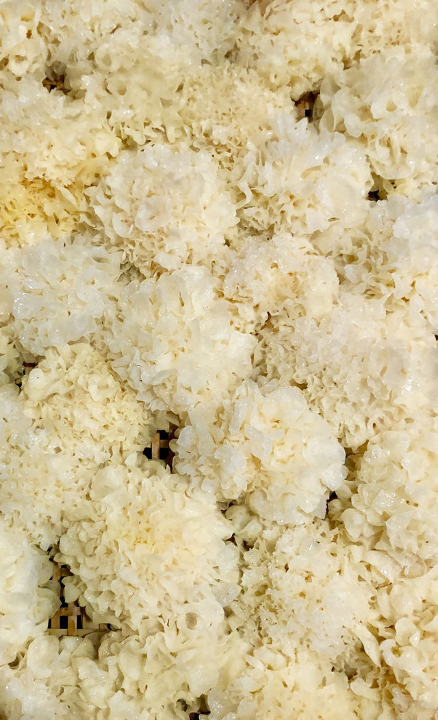 古田縣，中國食用菇之都
