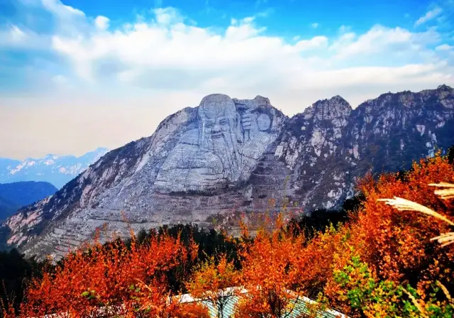 몽산에 불시착! '메라드' 가을을 만나다!