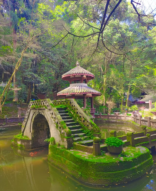 雨城雅安|爬天梯、遊古寺，一起森呼吸