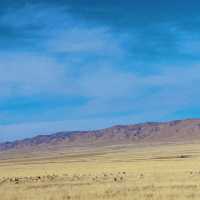 Qinghai Lake - The hidden treasure ! 