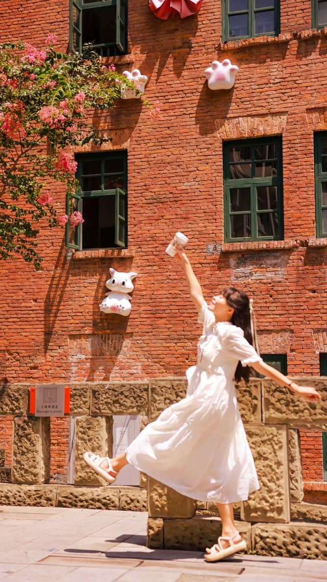 重慶戴家巷的多巴胺喵喵太好拍了