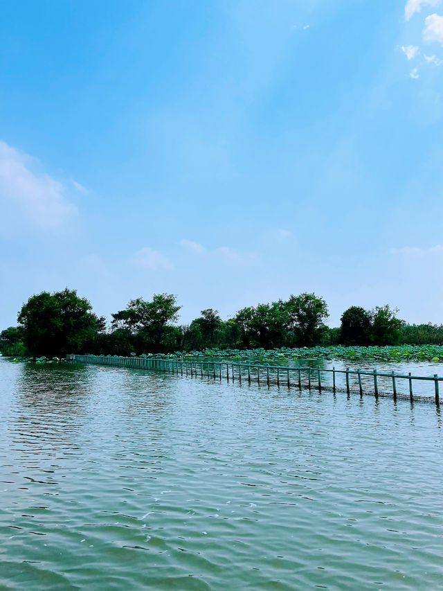 德清旅遊好去處——下渚湖濕地公園