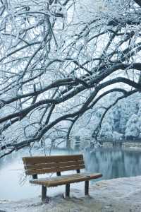 聽說很多人不相信這是廬山的雪景