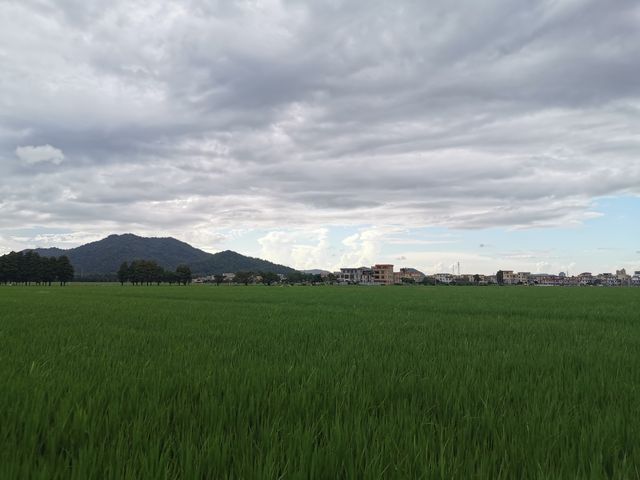 無邊稻田翻綠浪，一個位於海邊的美麗休閒鄉村