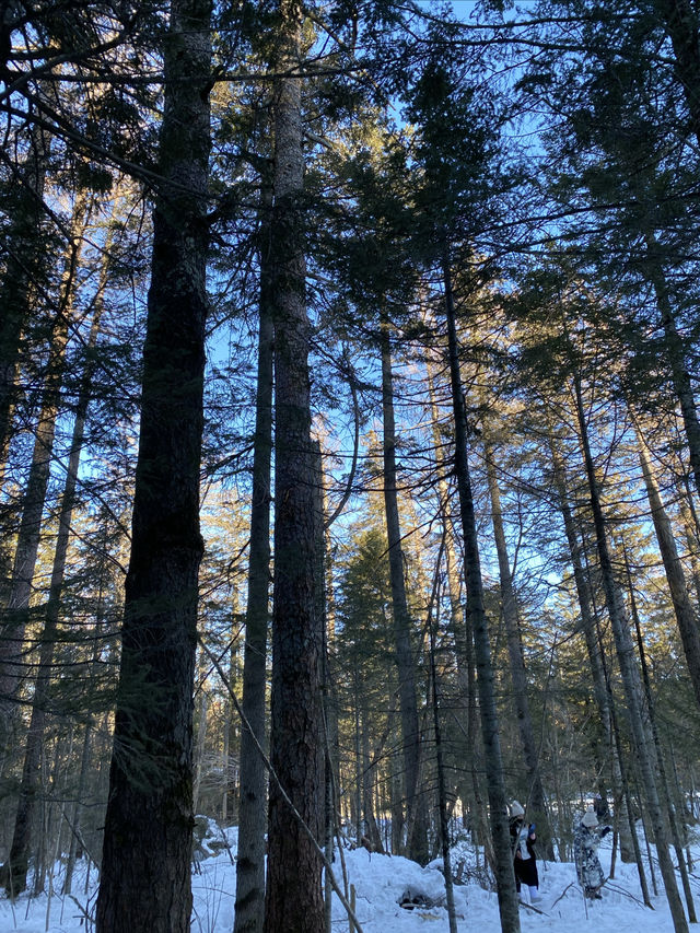 長白山北坡景區-體驗一回冰碴子打臉