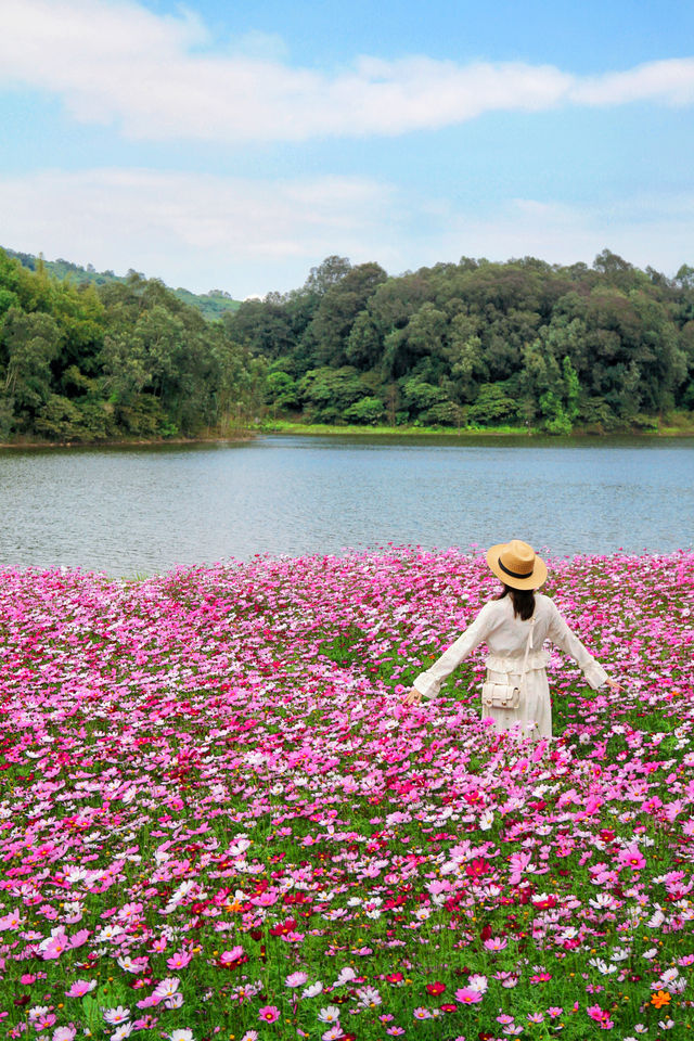 來看廣州版「芳草鮮美 落英繽紛」