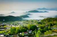 徜徉月河川道，賞清代鳳堰古梯田油菜花海