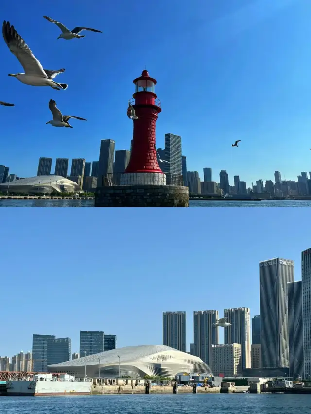 Dalian Old Dockyard Sailing Base | A romantic journey dancing with seagulls