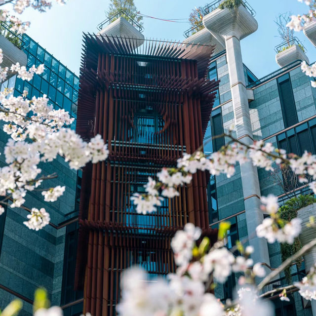 Your Trip to Shanghai
