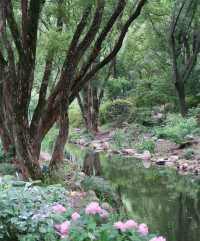 這個假期準備去哪玩？去上海楊浦區上海共青森林公園