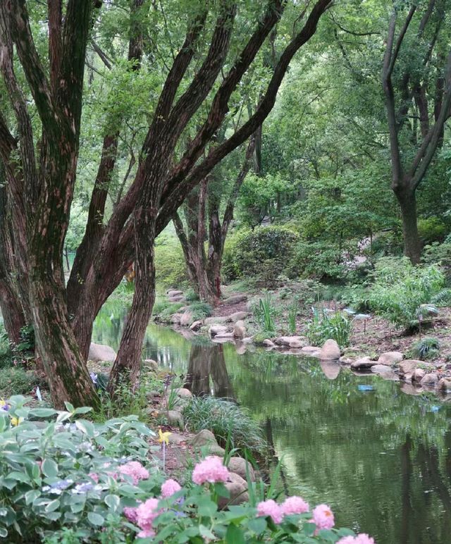 這個假期準備去哪玩？去上海楊浦區上海共青森林公園