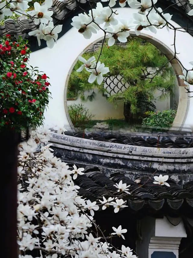 Nanjing | In recent days, the beauty of spring in Zhan Garden simply cannot be contained