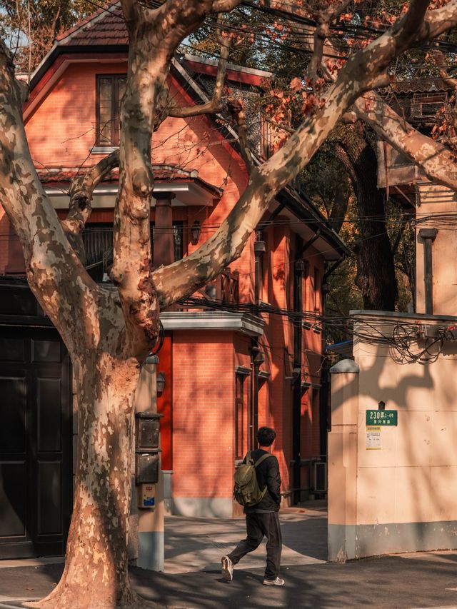 花筑奢·上海｜一起city walk，體驗繁華都市的魅力之窗
