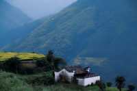 東北人的山居民宿和茶葉探險記