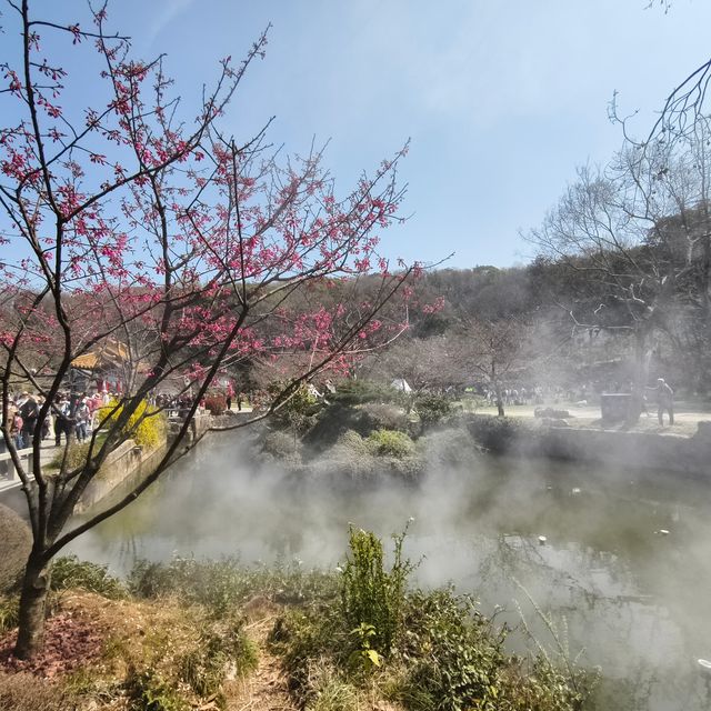 太湖佳絕處，美景好時光！