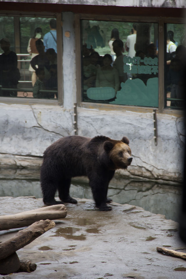 一年至少要來一次的動物園就是他了