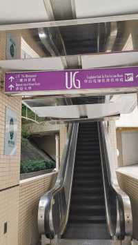香港pk重慶 魔幻複雜主義街道