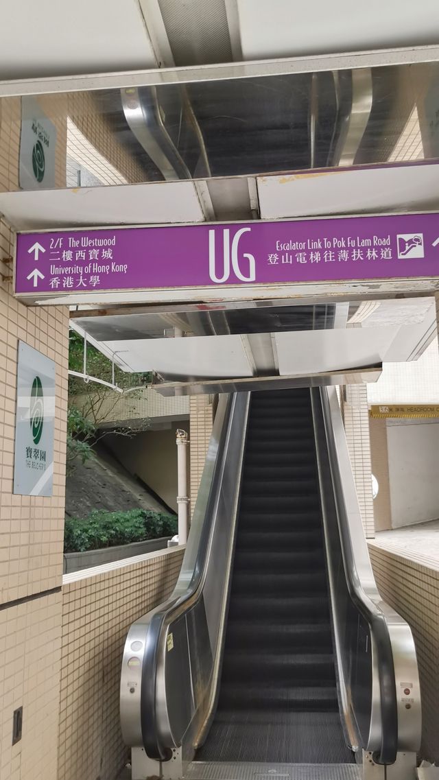 香港pk重慶 魔幻複雜主義街道