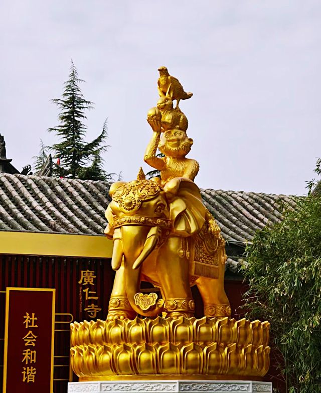 西安廣仁寺|本地人才知道的藏傳寺廟
