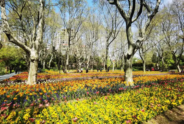 Zhabei Park