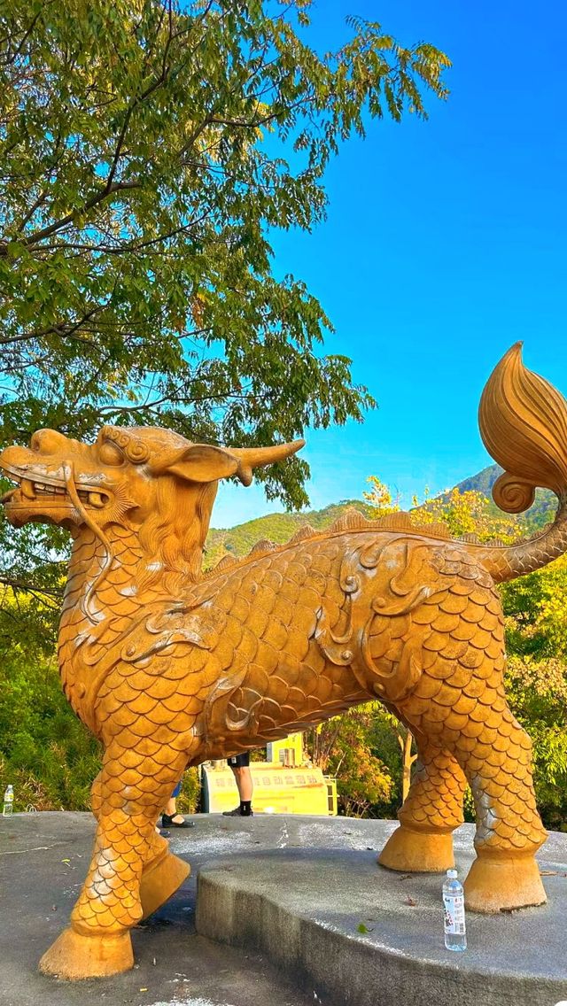 三明麒麟山公園！真的好美！不來可別後悔？？？