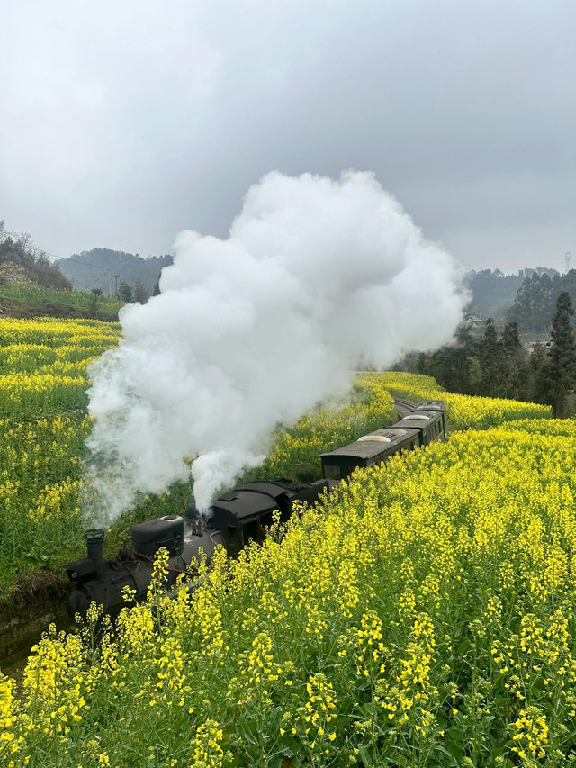 四川樂山嘉陽小火車｜開往春天的列車