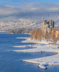 溫哥華冬日秘境：雪舞松間，夜韻如詩