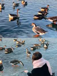 西昌親子遊第2天打卡觀鳥島濕地公園