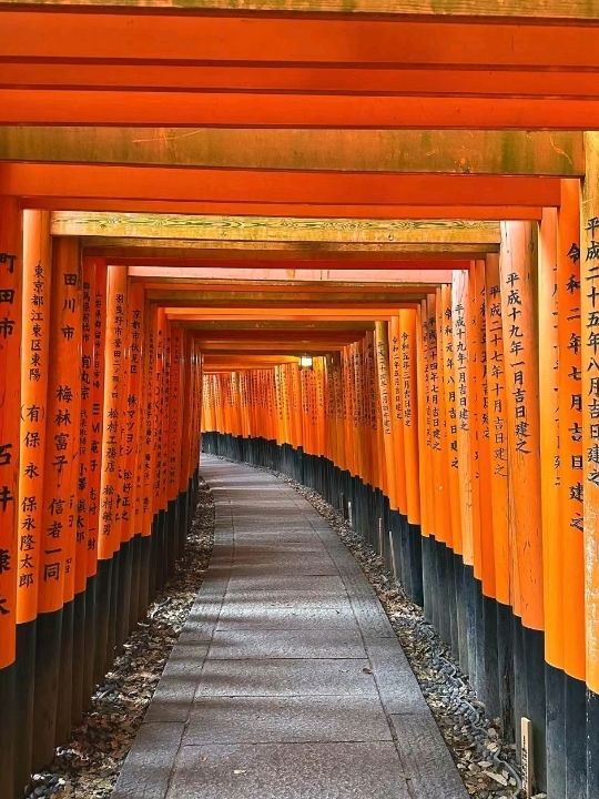 Kyoto Fushimi has its Charm 🌸🇯🇵