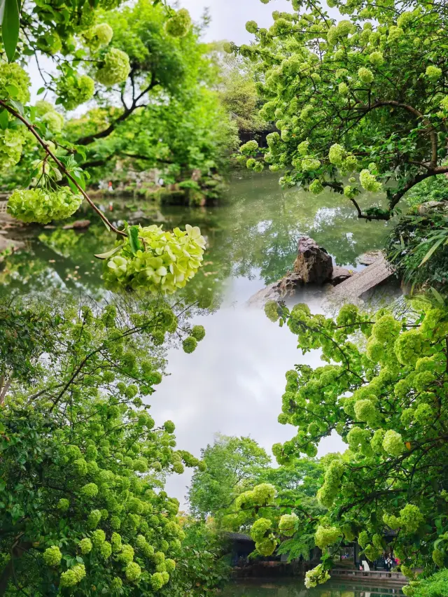 The Jichang Garden in Wuxi, one of the four famous gardens in the south of the Yangtze River, actually hides Emperor Qianlong's dream of the south