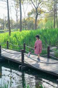 春遊記小眾白沙灘、抓蝌蚪、賞花的濕地公園