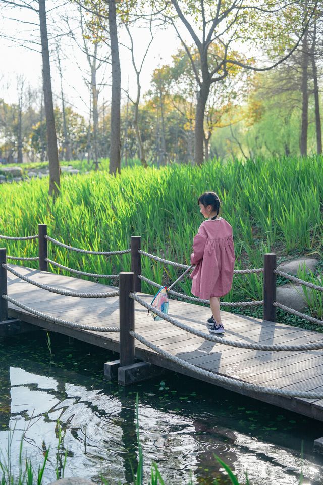 春遊記小眾白沙灘、抓蝌蚪、賞花的濕地公園 春遊記小眾白沙灘、抓蝌蚪、賞花的濕地公園