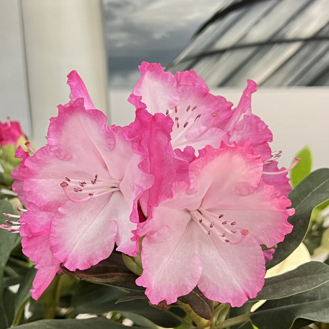 Indoor Botanical Garden in Taiyuan 