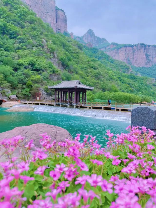 You really know how to have a good time at Huixian Baospring! (With a flower viewing guide)