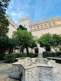 All Aboard the Speedy AVE: Your Ultimate Guide to Madrid-Valencia Train Travel 🚂✨
