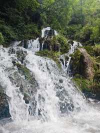 德陽 綿竹一日遊