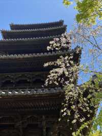 有自動扶梯的八事興正寺