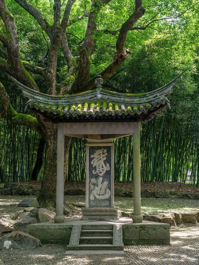 迄今為止，我最喜歡的城市出現了！