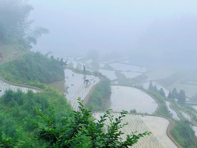 中國最美梯田 云和梯田 中國最美梯田 云和梯田
