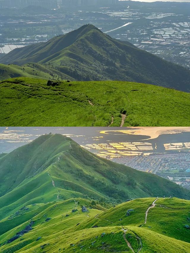 深圳40分鐘直達的山頂草原，美哭了
