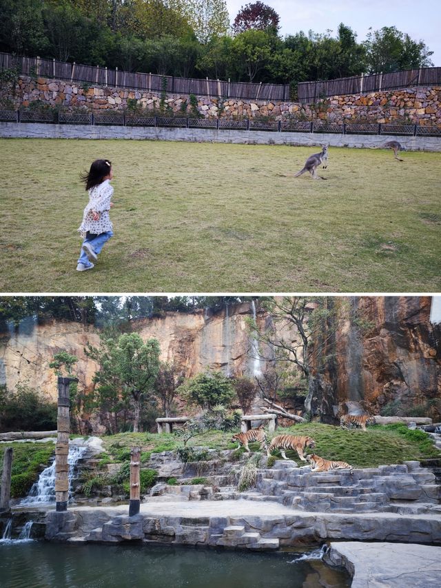 安吉3天2晚親子自駕，說走就走，想停就停