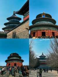 A Sunny Spring Morning at Temple of Heaven 🇨🇳