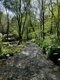 河南欒川重渡溝