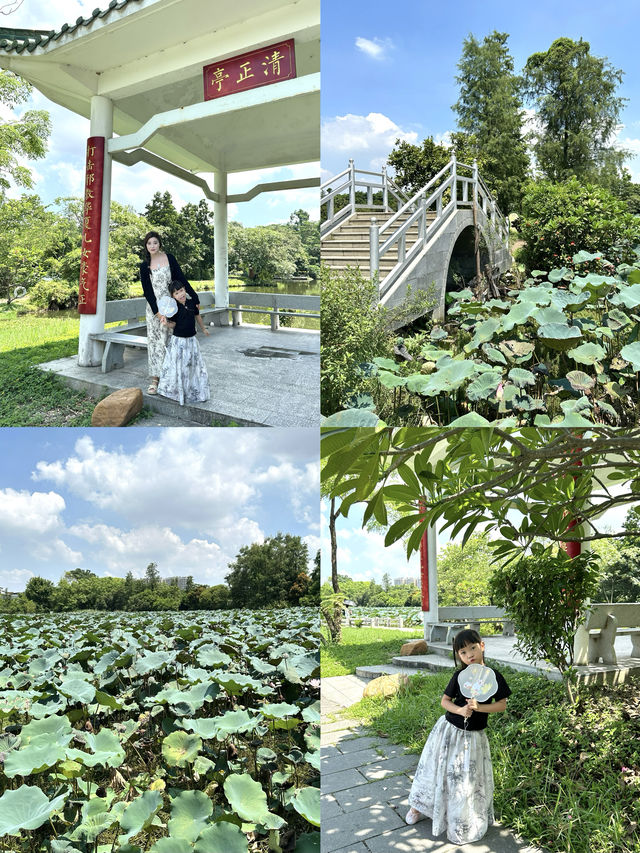 東莞道滘親子1天遊路線看這一篇就夠了