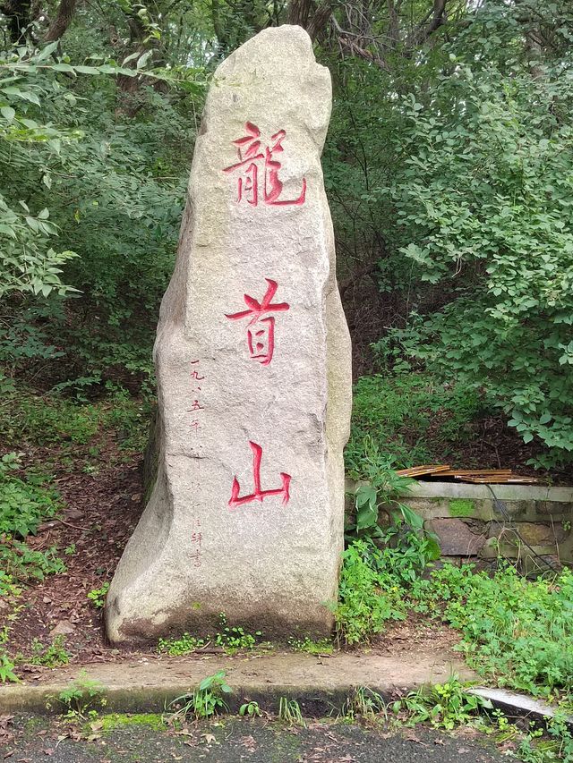 鐵嶺龍首山，好多好多松鼠！
