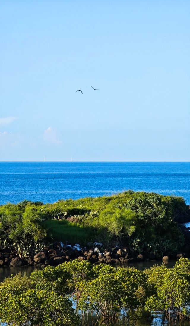 海南臨高角到儋州峨蔓
