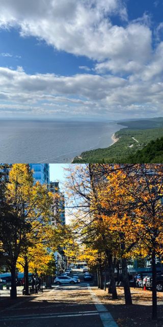 From tranquil beaches to bustling cities, the charm of Halifax