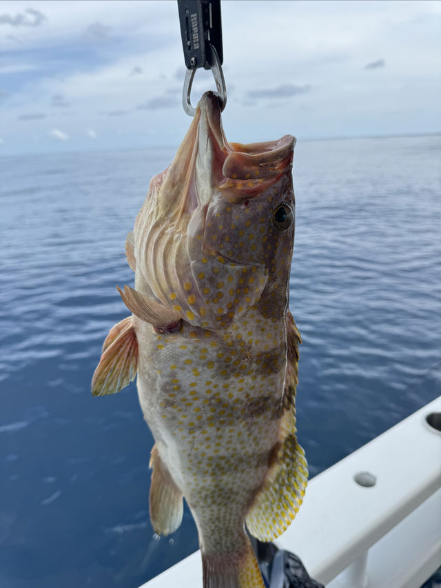 普吉島海釣｜有手就行！！！