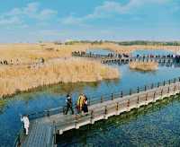 杭州灣濕地公園